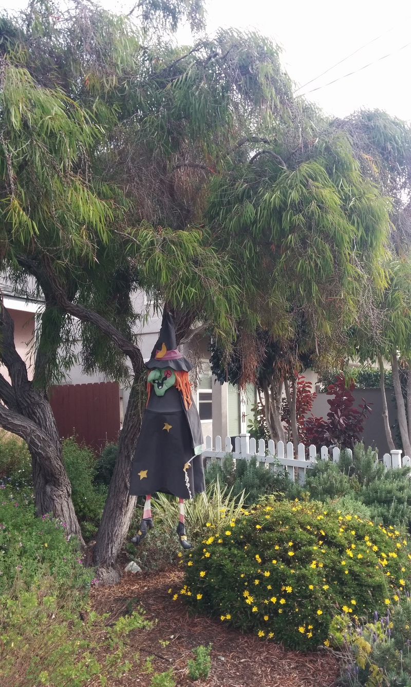 Illustration for article titled Halloween Decorations From a Few Neighborhoods